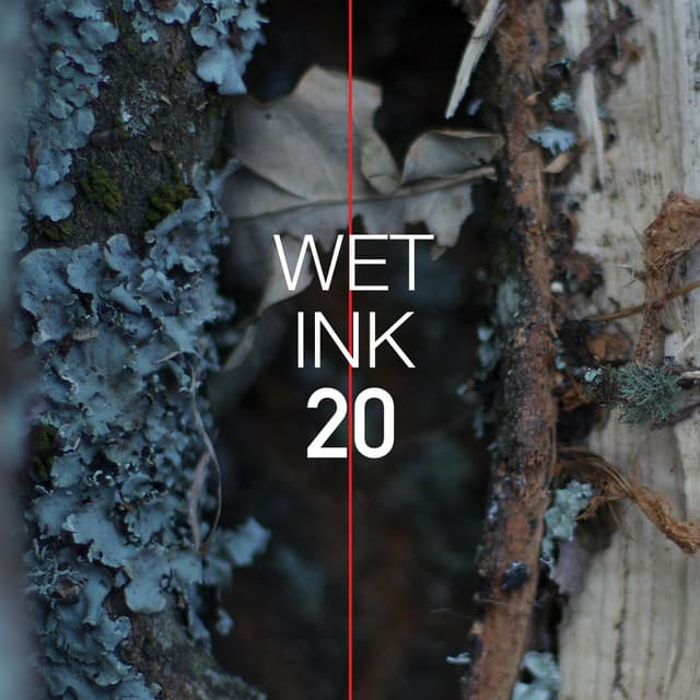 Wet Ink 20 - Wet Ink Ensemble