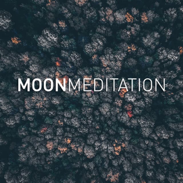 Yoga Music - Moon Tunes
