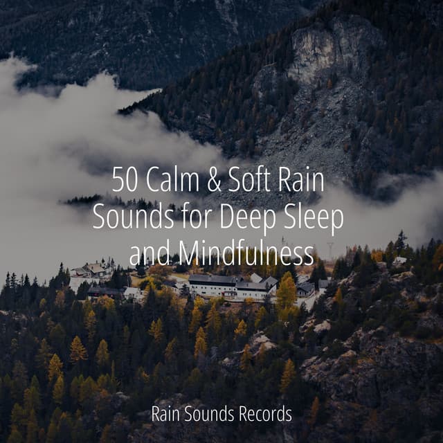 50 Calm & Soft Rain Sounds for Deep Sleep and Mindfulness - Sons da Natureza