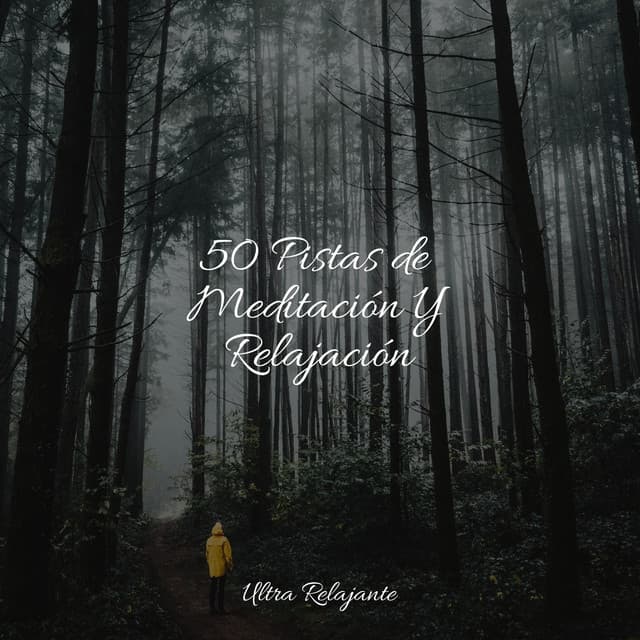 50 Pistas de Meditación Y Relajación - Yoga Para Ninos