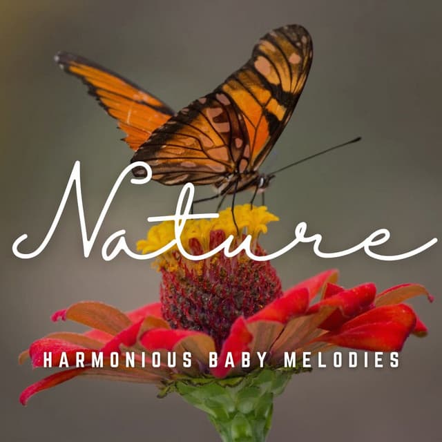 Cradle Serenades: Harmonious Baby Melodies - The Amnesias