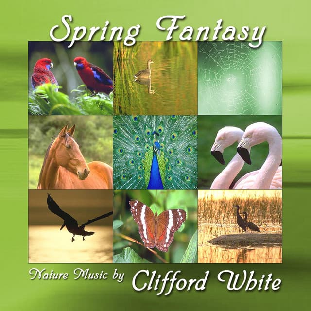 Spring Fantasy - Clifford White