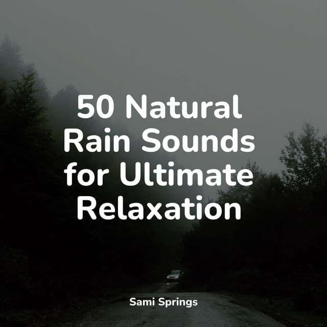 50 Natural Rain Sounds for Ultimate Relaxation - Water Soundscapes