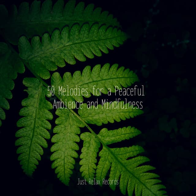50 Melodies for a Peaceful Ambience and Mindfulness - Nature Sounds Nature Music