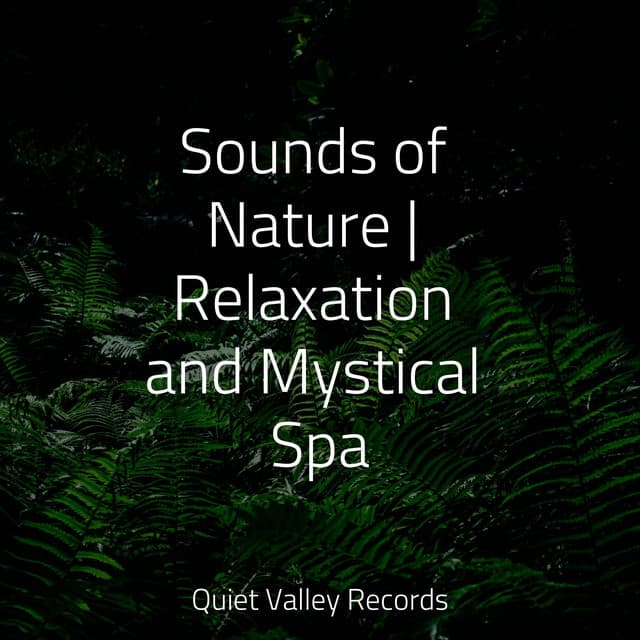Sounds of Nature | Relaxation and Mystical Spa - Sleeping Music