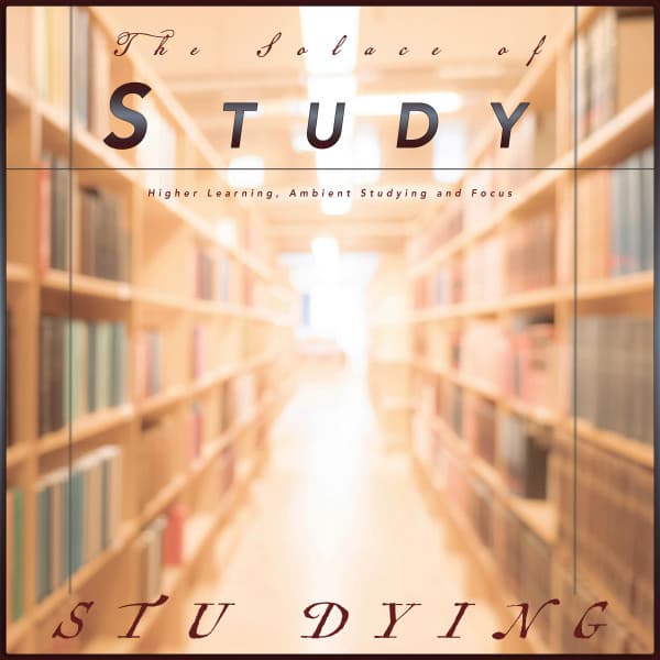 The Solace of Study: Higher Learning, Ambient Studying and Focus - Stu Dying
