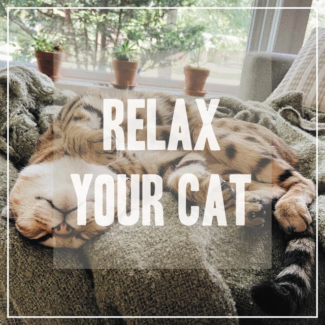 Relaxing Songs for Cats - Pet Music
