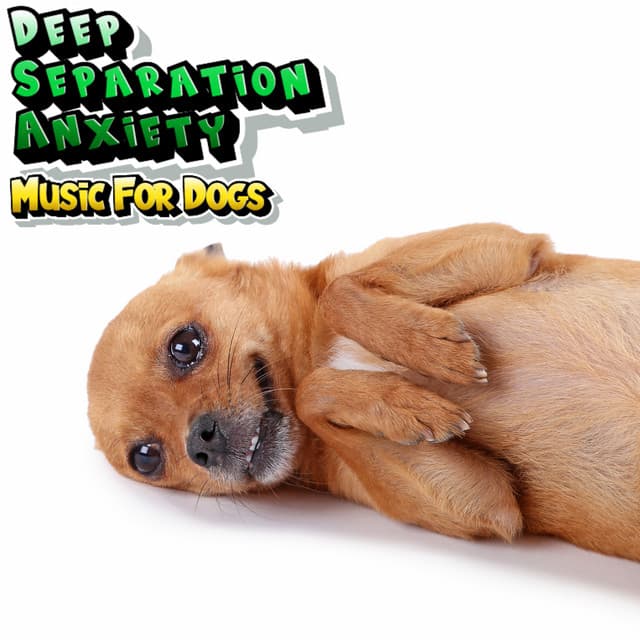 Dog Relaxation & Calming Stress Relief Music - Deep Separation Anxiety Music For Dogs