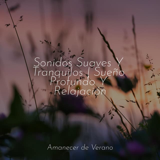 Sonidos Suaves Y Tranquilos | Sueño Profundo Y Relajación - Sonidos De Truenos y Lluvia