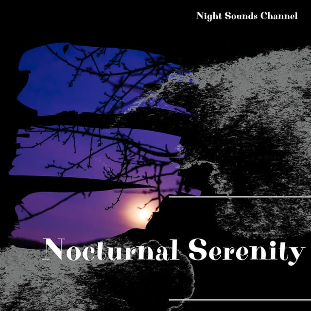 Nocturnal Serenity: Tranquil Nightscapes - Night Sounds Channel