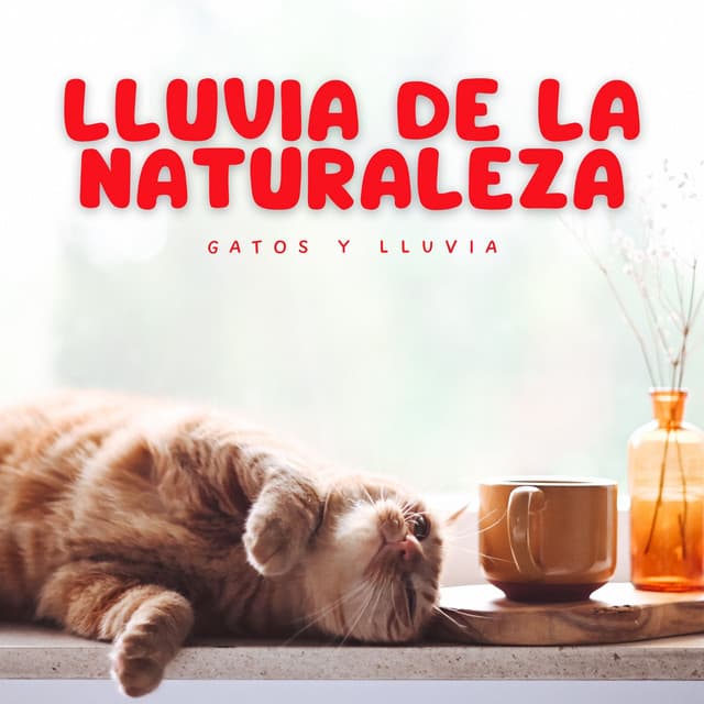Lluvia de la Naturaleza: Gatos y Lluvia - Musica Lluvia Tranquila