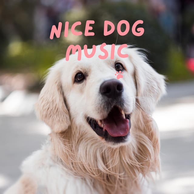 Nice Dog Music - Pet Music Therapy