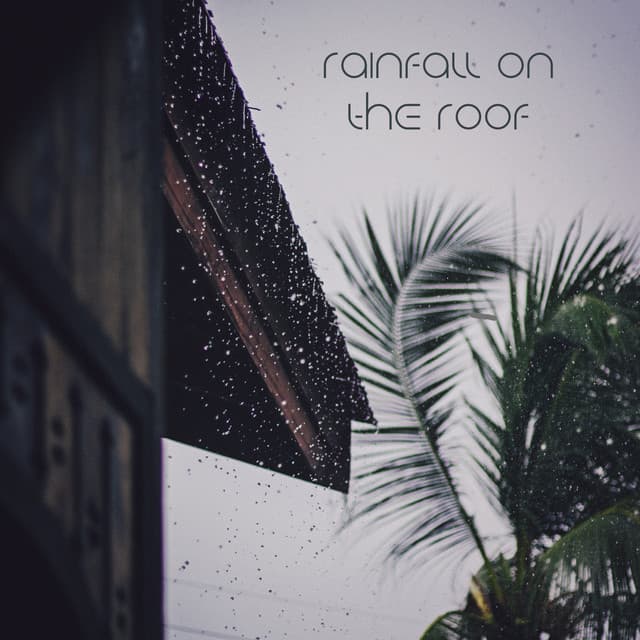 Rainfall On The Roof - Noise Academy