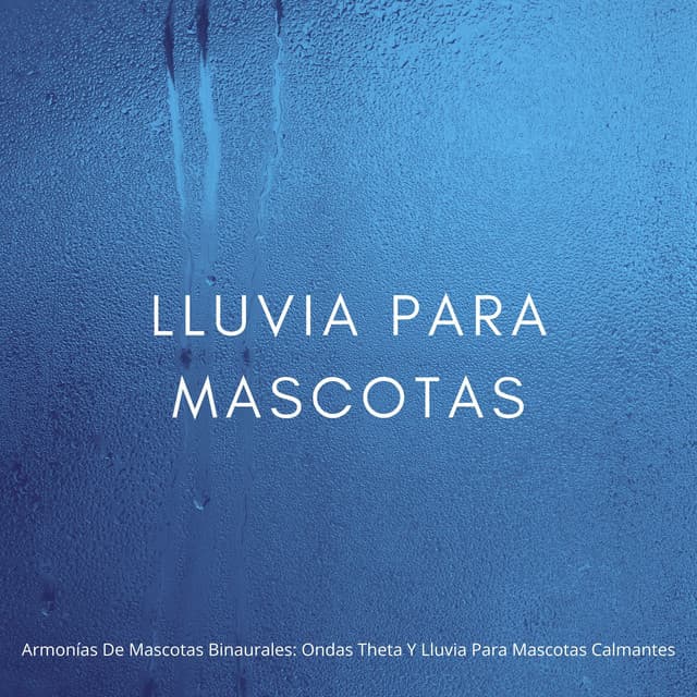 Armonías De Mascotas Binaurales: Ondas Theta Y Lluvia Para Mascotas Calmantes - Sonidos de lluvia tranquila
