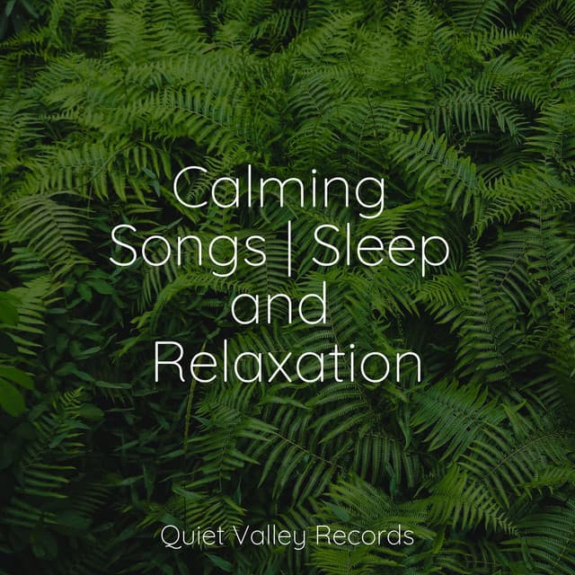 Calming Songs | Sleep and Relaxation - Reiki Tribe