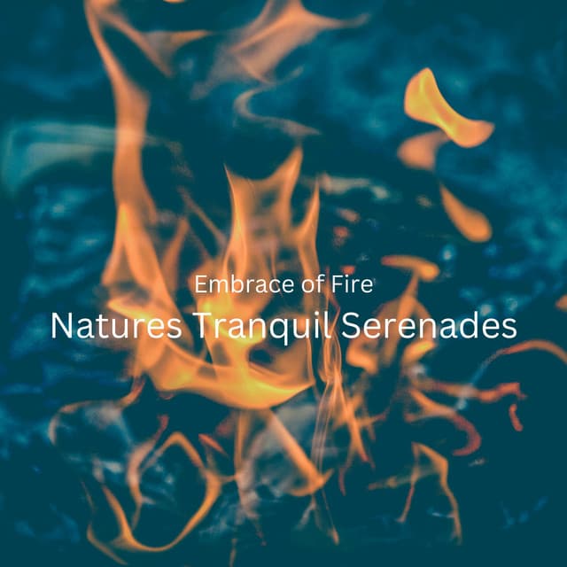 Embrace of Fire: Natures Tranquil Serenades - Noom Night Fire Sounds