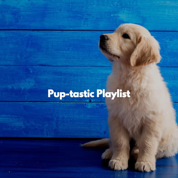 Pup-tastic Playlist - Atmospheric Coffee House Music