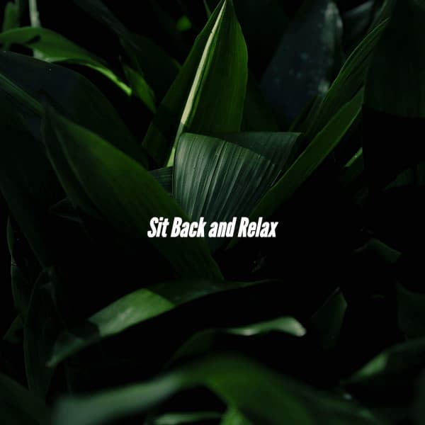 Sit Back and Relax - Upbeat Instrumental Music