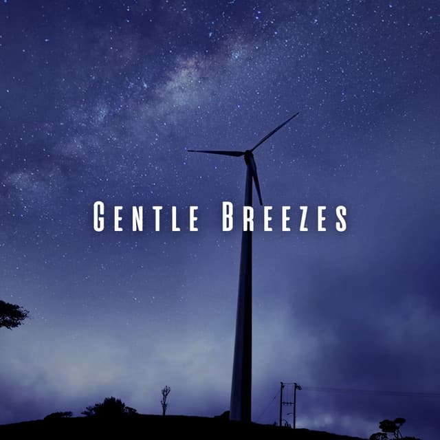 Gentle Breezes: Serene Wind ASMR for a Blissful Escape - Wind Chimes Sounds