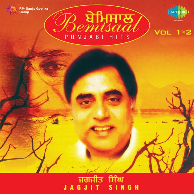 Bemisaal Punjabi Hits, Vol. 1 & 2 - Jagjit Singh