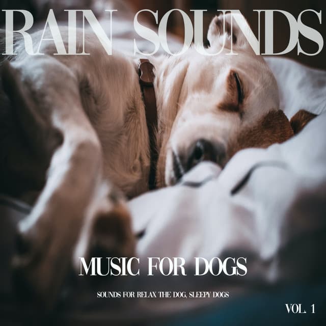Music for Dogs - Rain Sounds for your Dog, Vol. 1 - Sounds for Relax the Dog