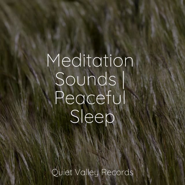 Meditation Sounds | Peaceful Sleep - Echoes Of Nature