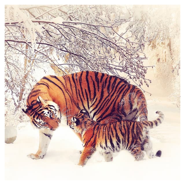 Music Just for You - Baby Sleep Music