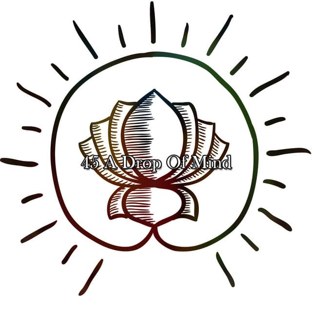 45 A Drop Of Mind - The Yoga Mantra and Chant Music Project