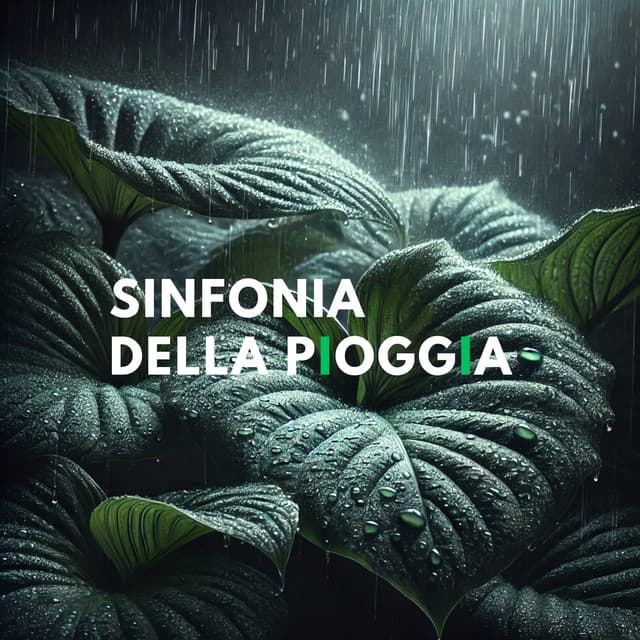 Sinfonia della pioggia: Giornata di consapevolezza dello stress con i suoni della pioggia - Pioggia Nocturna
