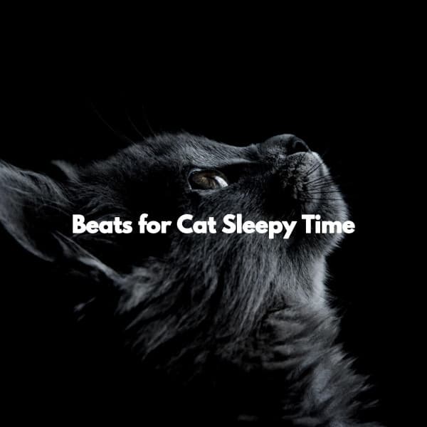 Beats for Cat Sleepy Time - Evening Jazz Chill