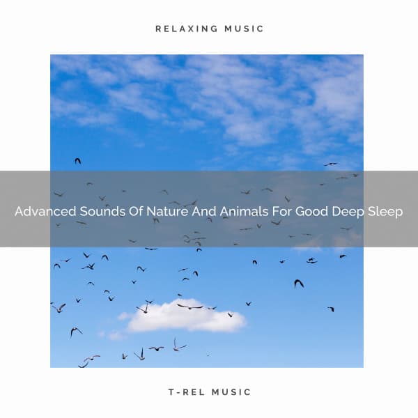 Advanced Sounds Of Nature And Animals For Good Deep Sleep - Nature Sound Series