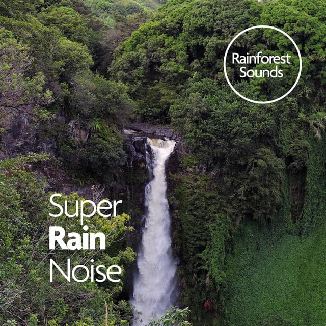 Super Rain Noise - Rainforest Sounds