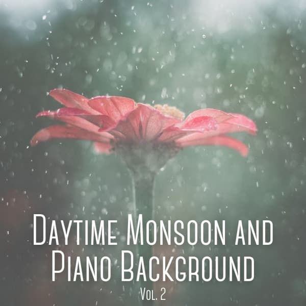Daytime Monsoon and Piano Background Vol. 2 - Spa Collective