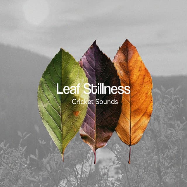 Leaf Stillness - Cricket Sounds