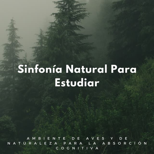 Sinfonía Natural Para Estudiar: Ambiente De Aves Y De Naturaleza Para La Absorción Cognitiva - Pájaros Escandinavos