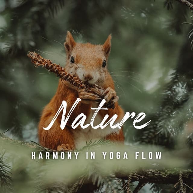 Yoga Sanctuary: Natural Serenity - Yogi Zone
