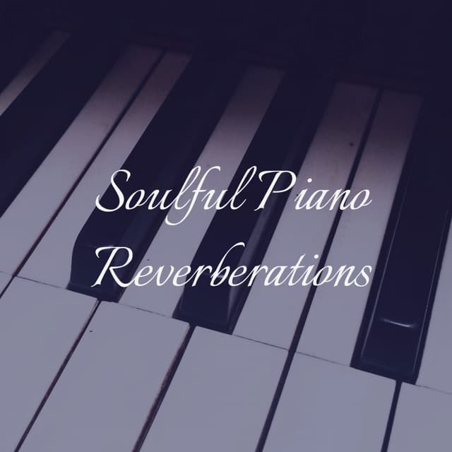 Soulful Piano Reverberations - Moonlight Sonata