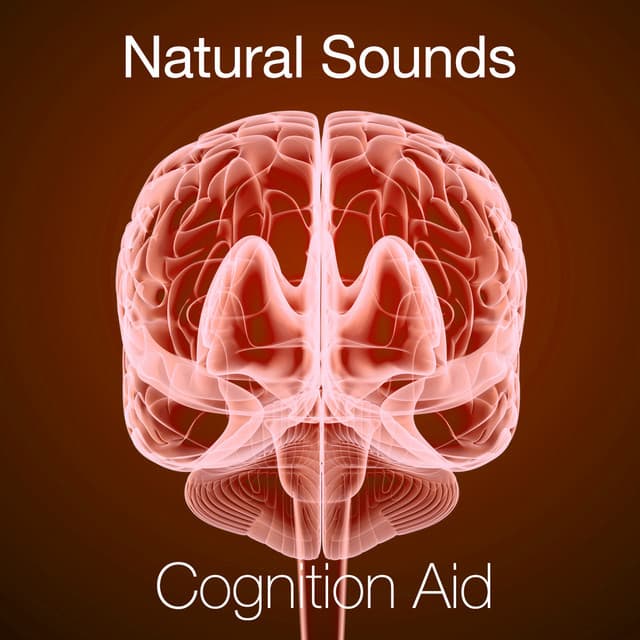 Natural Sounds - Cognition Aid - Exam Study Nature Music Nature Sounds
