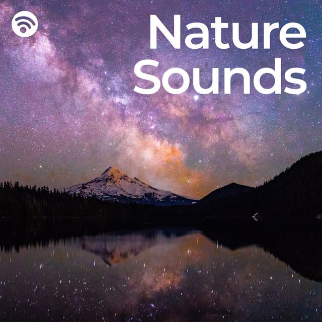 Good Night: Nature Sounds - Nature Sounds for Sleep and Relaxation
