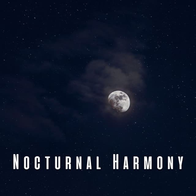 Nocturnal Harmony: Meditative Piano for Sleep - Piano Bar Lounge