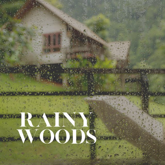 Rainy Woods - Rain Man Sounds