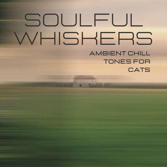 Soulful Whiskers: Ambient Chill Tones for Cats - Ambient Chill