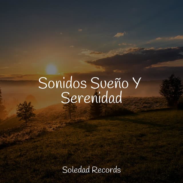 Sonidos Sueño Y Serenidad - Academia de Música para Massagem Relaxamento