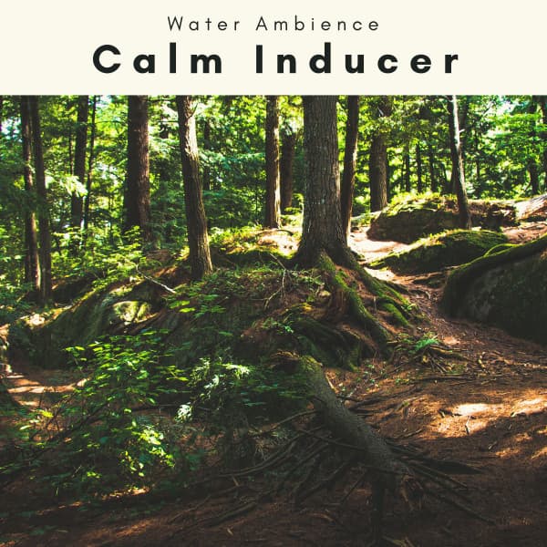A Calm Inducer - Water Ambience