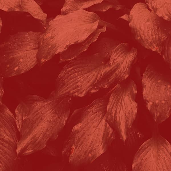 Spa Music - Background for Morning Yoga - Yoga Music Play List