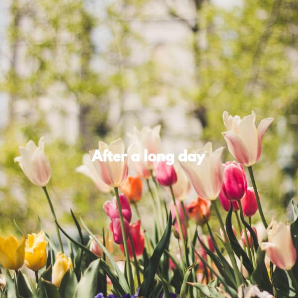 After a long day - Wine Bar Music