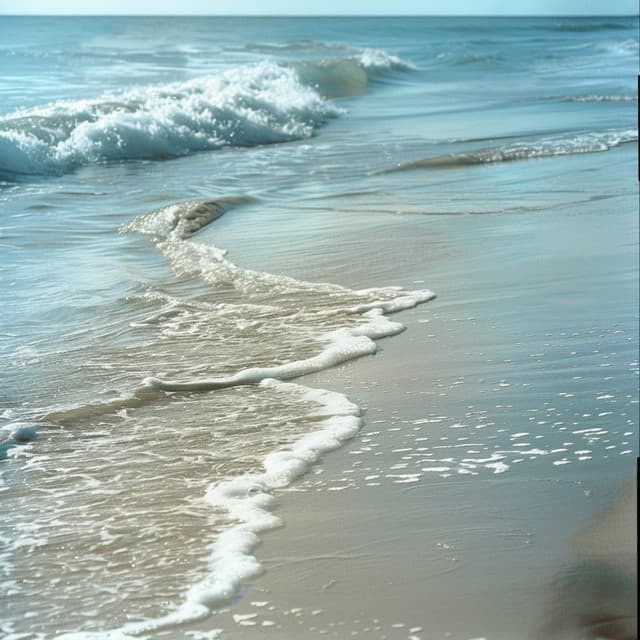 Armonía Binaural Del Agua Para Gatos - Musicoterapia para gatos