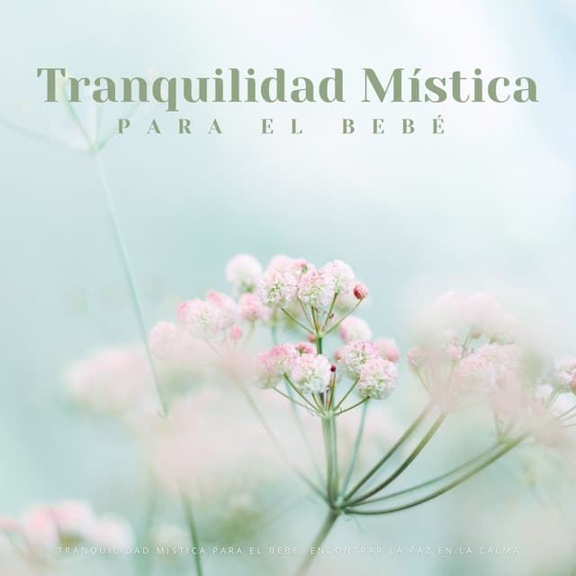 Tranquilidad Mística Para El Bebé: Encontrar La Paz En La Calma - Santiago Lorenzo Amor