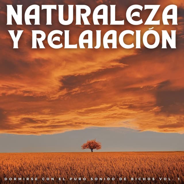 Naturaleza Y Relajación: Dormirse Con El Puro Sonido De Bichos Vol. 1 - Melodía de la tierra