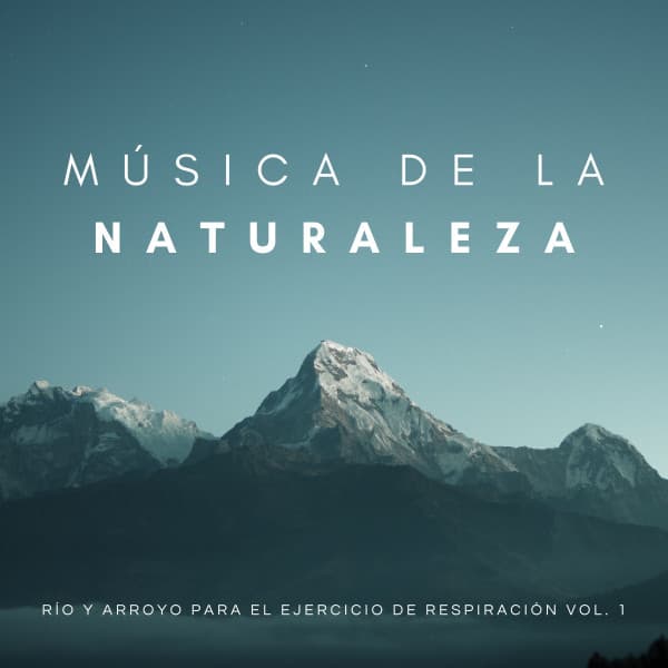 Música De La Naturaleza: Sueños De Las Corrientes Vol. 1 - Música para Concentrarse Radio